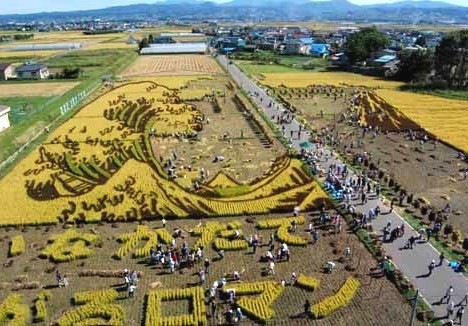 The Amazing Rice Paddy Art of Japan | Amusing Planet